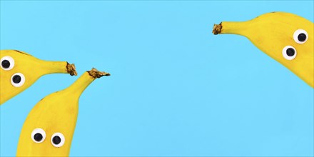 Banner with banana fruits with funny googly eyes on bright blue background with copy space