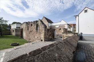 Ruins of the medieval synagogue, Speyer, Rhineland-Palatinate, Germany, Europe