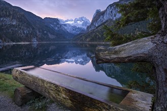 The Vordere Gosausee lake in autumn with a view of the Dachstein mountain range. A water trough in