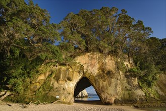 Cathedral Cove in Coromandel, New Zealand, Oceania