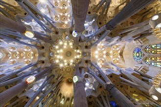 The ceiling of interior of Sagrada Familia (Church of the Holy Family), the cathedral designed by