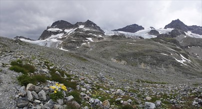 Silvretta main ridge and the