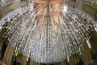 Fisheye, interior view, Peace Doves, Wells Cathedral, Wells, England, Great Britain