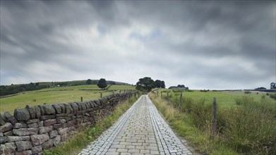 Panoramic perspective view of a narrow cobblestone country lane surrounded by stone walls trees and