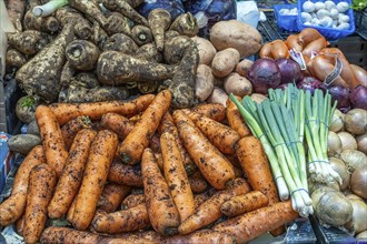 Carrots, parsnips and other vegetables for sale at a market