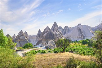 Fairy rocks in Valley of Love in Cappadocia, Turkey, Asia