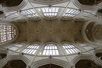 Fisheye, interior view, ceiling, Bath Abbey, Bath, England, Great Britain