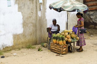 Mombasa, Kenya, Africa-10/01/2017. Pineapple seller on a street in Mombasa in Kenya in Africa,