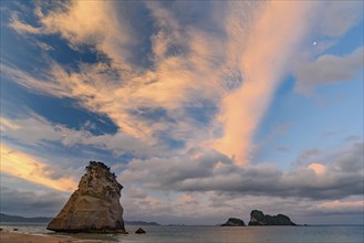 The beach of Cathedral Cove in Coromandel, New Zealand, Oceania