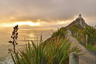 Nugget Point and lighthouse with sunrise at South Island, New Zealand, Oceania