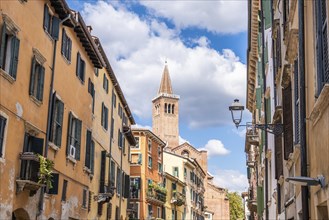 An alley in Verona with terraces with green plants and the bell tower of a church in the background