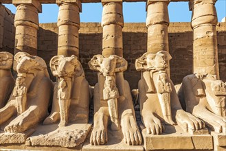 Ruined statues of sphinxes near columns in Karanak temple