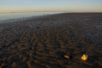 Beach in Wyk, Föhr, Schleswig-Holstein, Germany, Europe