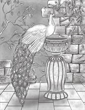Beautiful Peacock Resting On Water Vase With Broken Walls And Vines