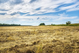 Plowed wheat field with dry hay and cloudy sky