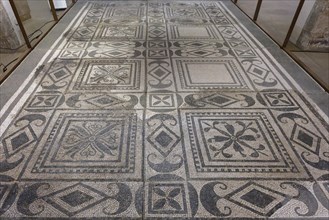 Black and white antique mosaic with complex geometric patterns on the floor, interior view, floor