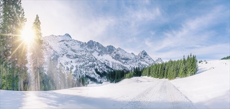 Panoramic winter scene with snow-capped mountains, the green fir forests and a road through a thick