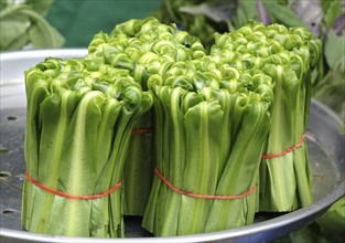 Locally grown vegetables are sold at a farmer's market in Taiwan