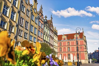 Flowers on the Market square in Gdansk, Poland, Europe