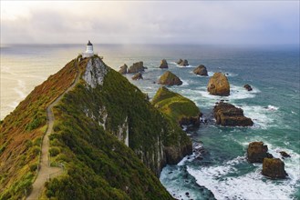 Nugget Point and lighthouse with sunrise at South Island, New Zealand, Oceania