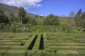 Labyrinth, garden of Villa Barbarigo, Valsanzibio, Galzignano Terme, Province of Padua, Italy,