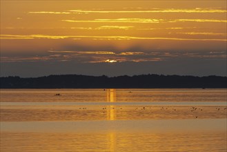 Sunset, near Chieming, Chiemsee, Chiemgau, Bavaria, Germany, Europe