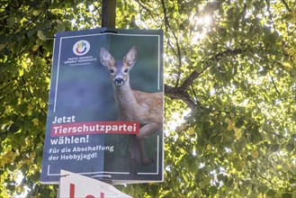 State election in Brandenburg 2024: The Animal Protection Party campaigns for votes on an election