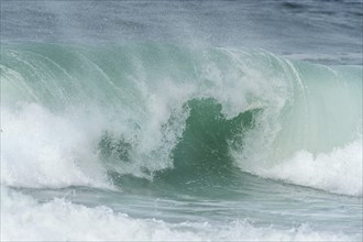 Turquoise blue wave in the Iroise Sea. Camaret, Crozon, Brittany, France, Europe