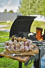 Marinated pork shashlik on skewer ready for outdoor barbecue