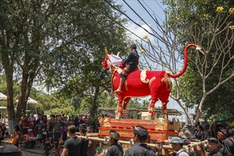 A boy sits on a bull, on the way to the cremation site, at a ngaben (cremation of corpses), Ubud,