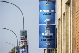 State election in Brandenburg 2024: The AfD party advertises for votes on election posters.