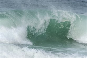 Turquoise blue wave in the Iroise Sea. Camaret, Crozon, Brittany, France, Europe