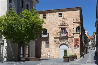 Small historic building with stone walls, ornate windows and a tree on a sunny day, Palacio de los