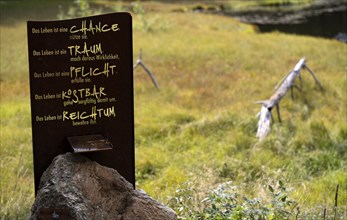 Wisdom on a plaque, sign, biotope, moor, lake, Schwarze Lacke, Vigiljoch, Glaubensweg, near Lana,