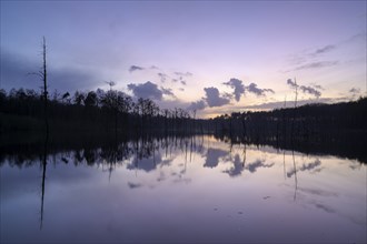 Mountain subsidence area, in winter, at sunset, with reflection, Bottrop, Ruhr area, North