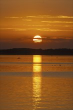 Sunset, near Chieming, Chiemsee, Chiemgau, Bavaria, Germany, Europe