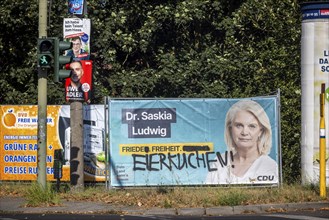 State election in Brandenburg 2024: parties advertise for votes on election posters. Peace, freedom