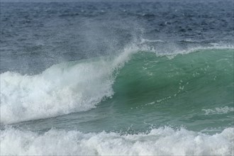 Turquoise blue wave in the Iroise Sea. Camaret, Crozon, Brittany, France, Europe