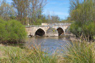 Old stone bridge over a river, surrounded by trees and grasses on a sunny spring day, medieval