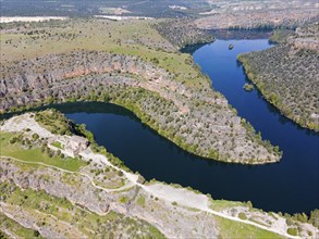 Meandering river amidst deep gorges and lush vegetation, bird's eye view, aerial view, gorge,