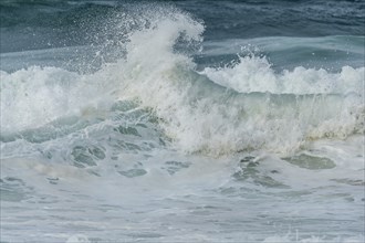 Turquoise blue wave in the Iroise Sea. Camaret, Crozon, Brittany, France, Europe