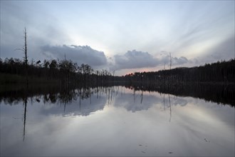 Mountain subsidence area, in winter, at sunset, with reflection, Bottrop, Ruhr area, North