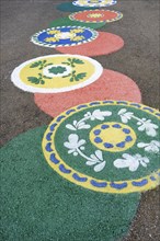 Flower motives on the ground during the Flower festival, Viana do Castelo, Minho, Portugal, Europe