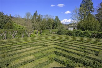 Labyrinth, garden of Villa Barbarigo, Valsanzibio, Galzignano Terme, Province of Padua, Italy,