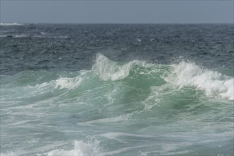 Turquoise blue wave in the Iroise Sea. Camaret, Crozon, Brittany, France, Europe