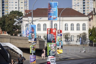 State election in Brandenburg 2024: parties canvass for votes on election posters. Potsdam,