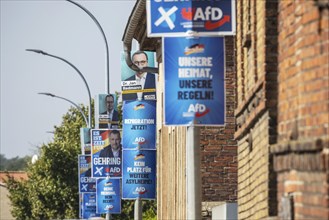 State election in Brandenburg 2024: The AfD party advertises for votes on election posters.