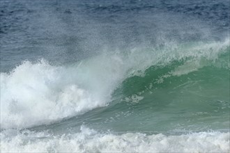 Turquoise blue wave in the Iroise Sea. Camaret, Crozon, Brittany, France, Europe