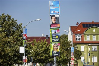 State election in Brandenburg 2024: parties canvass for votes on election posters. Nauen,