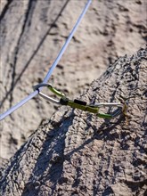 Climbing rope runs through a carabiner of an express sling, attached to a bolt, climbing area